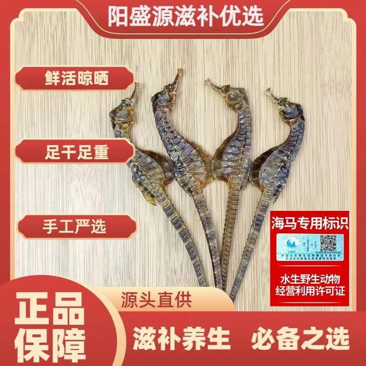 正品海马 带溯源码 公母配对 煲汤泡酒专用 海马公母一对正品