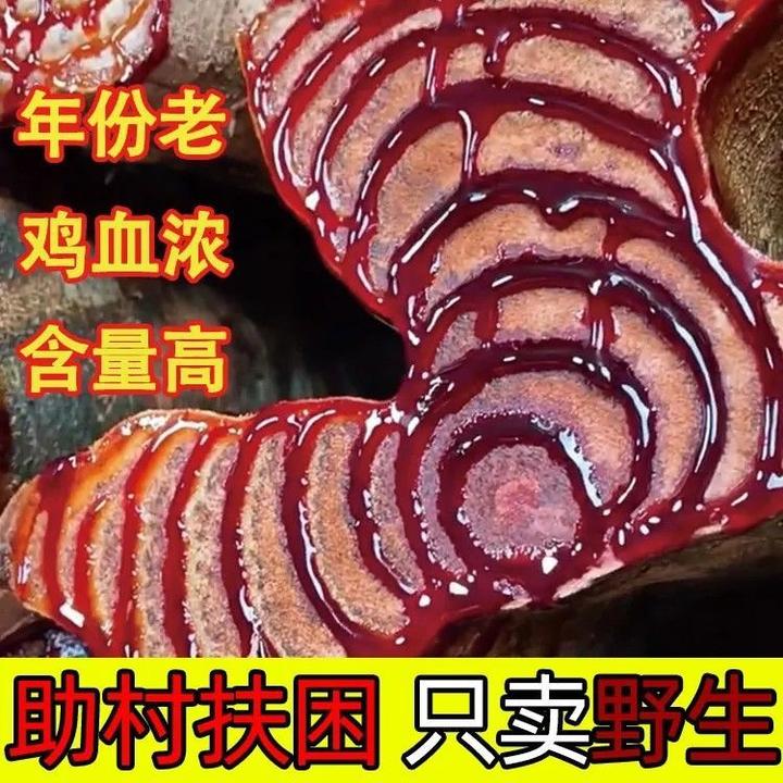 广西正宗野生鸡血藤百年老藤大断块新鲜干货无硫泡茶泡酒煲汤