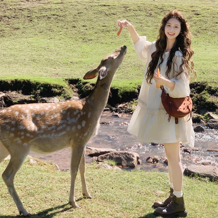 白色仙女连衣裙女秋季设计感小众小个子漂亮绝美宽松娃娃裙泡泡袖