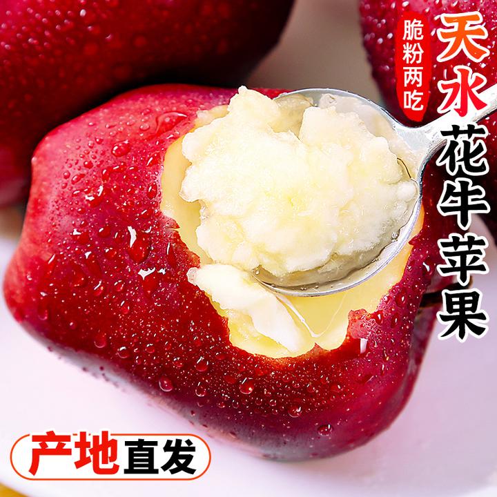 【脆粉两吃】甘肃天水花牛苹果3-9斤红蛇果新鲜水果小苹果红苹果