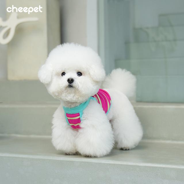 趣派宠物狗狗衣服小型犬吊带背心可爱家居服春秋季2025新款新品