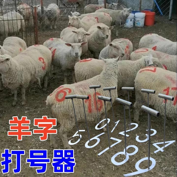 牛羊猪通用打号器羊字号牛羊打号器数字标记打号器