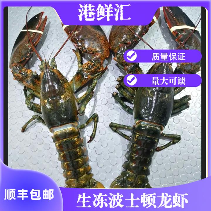 冷冻波士顿龙虾饱满可蒜蓉清蒸肉质紧实冷链空运包邮