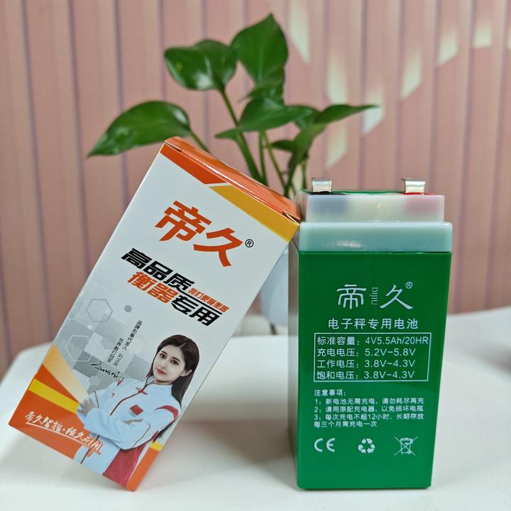 帝久帝久电子秤电池大小电子秤通用4V5ah大容量长续航440克重款