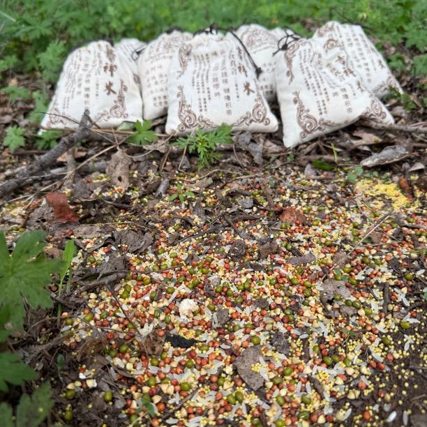 户外通用型投喂鸟粮五谷杂粮