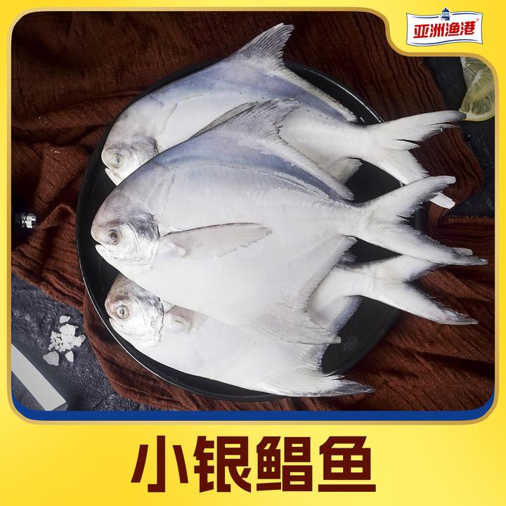 【霞客专享】亚洲渔港 银鲳鱼350g/袋