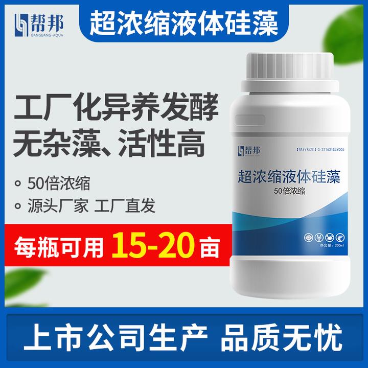 超浓缩液体硅藻帮邦水产鱼虾蟹养殖
