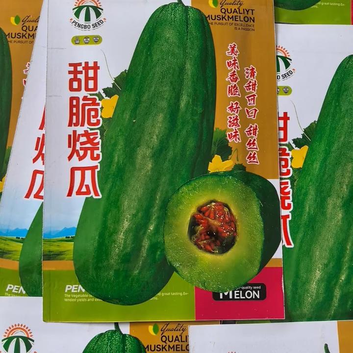 【甜脆烧瓜种子】四季种植盆栽地栽阳台小院种植