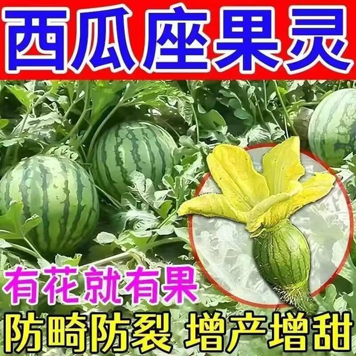 【张老师推荐】西瓜坐果坐果灵免沾花阴天不影响坐果可发顺丰