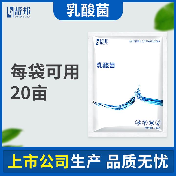 乳酸菌 帮邦水产鱼虾蟹