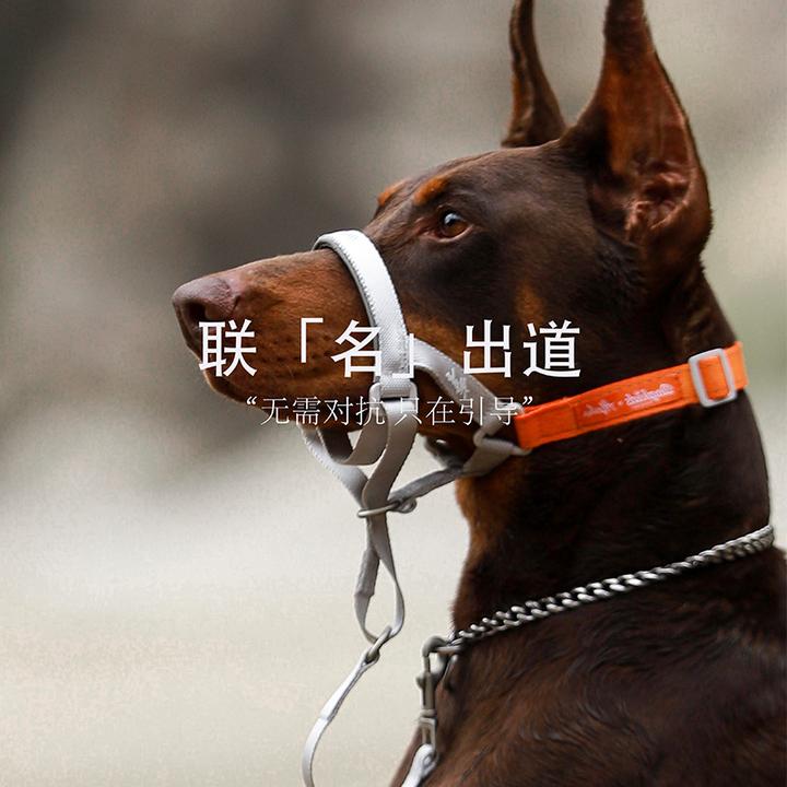 巴克一家嘴牵口环随行一步牵短牵