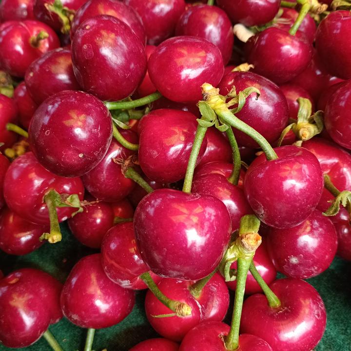 美早新鲜水果顺丰空运直达