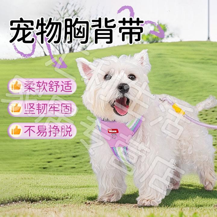 【宠大条】炫彩多巴胺宠物牵引绳狗狗胸背带比熊博美户外遛狗牵引绳