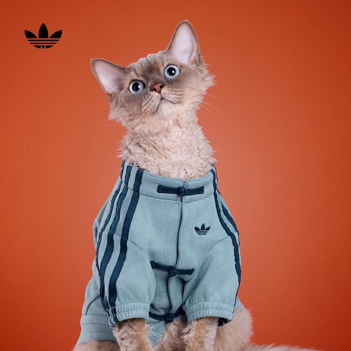 新年款宠物保暖外套衣服冬季狗狗猫咪adidas阿迪达斯三叶草KZ4782