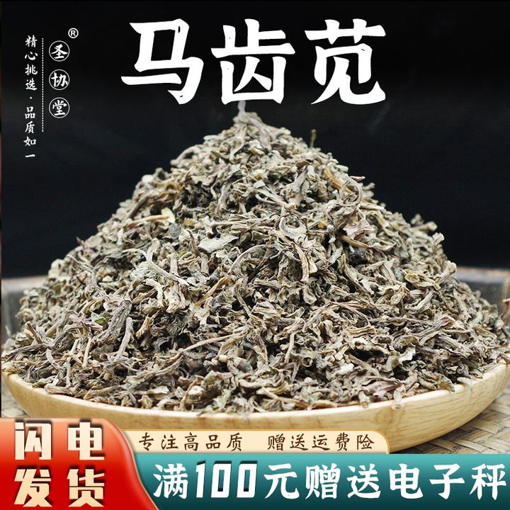 马齿苋中药材马齿苋新鲜的马齿苋菜干货茶马屎苋马生菜粉泡澡药浴