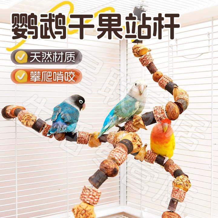 【宠大条】鹦鹉玩具啃咬攀爬爬梯站杆鸟笼配件磨牙健齿牡丹玄凤益智