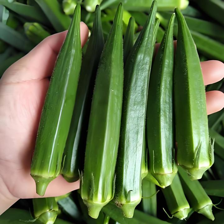 【产地直发】秋葵新鲜山东秋葵当季蔬菜羊角豆农家批发水果秋葵