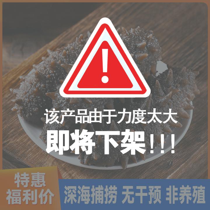 6-8头 500g 冷蒸即食海参新滕海精选海参 品质保证