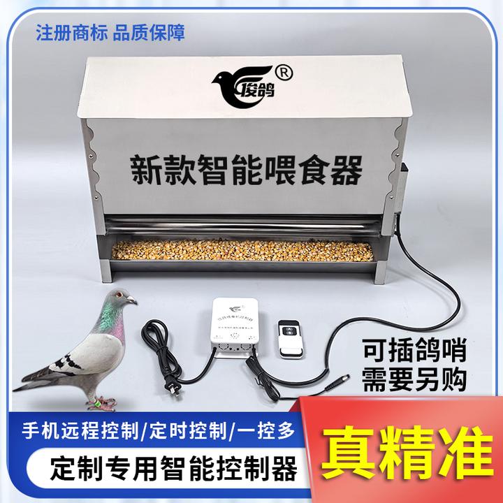 俊鸽自动喂食器信鸽手机远程遥控喂食机鸽子赛鸽鸽粮不锈钢饲料机