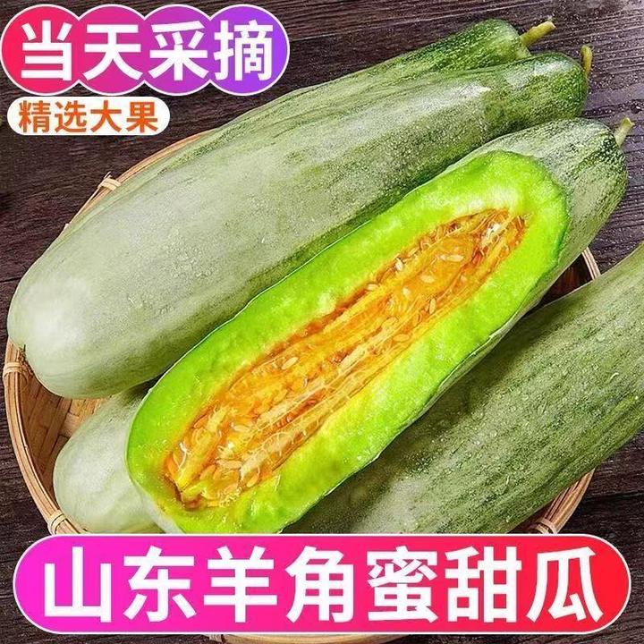 山东羊角蜜甜瓜新鲜孕妇水果应季头茬现摘酥脆甜蜜瓜脆瓜香瓜批发