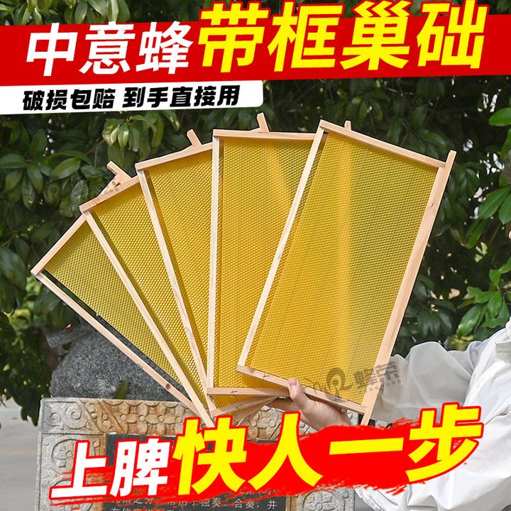 蜂荣巢框蜜蜂巢框养蜂巢框蜂巢框中蜂标准巢框蜂箱巢框全套成品