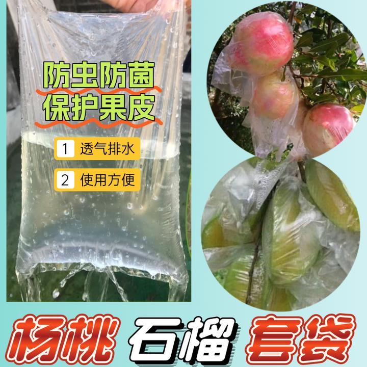 杨桃袋石榴套袋软仔石榴内膜袋透气薄膜袋杨桃防虫套袋安徽石榴袋