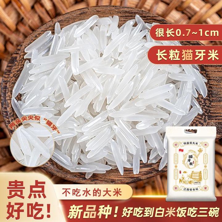 [长粒品种]尊品猫牙米 25年新米 软糯香甜 产地直发5斤/10斤 新