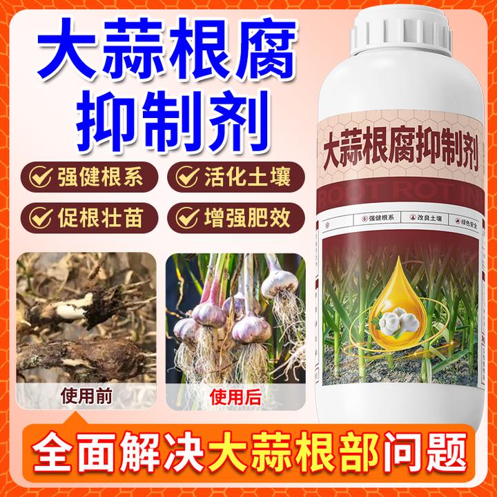 大蒜根腐抑制剂促根壮苗活化土壤根腐烂根软腐肥料