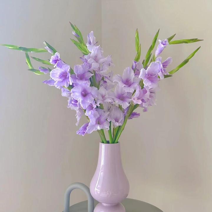 【云南鲜花】剑兰鲜切花产地直发品质保证好养护！花期