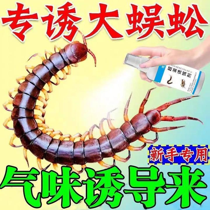 蜈蚣诱捕专用饵料神器蜈蚣陷阱抓蜈蚣神器户外强力蜈蚣吸引饵料液
