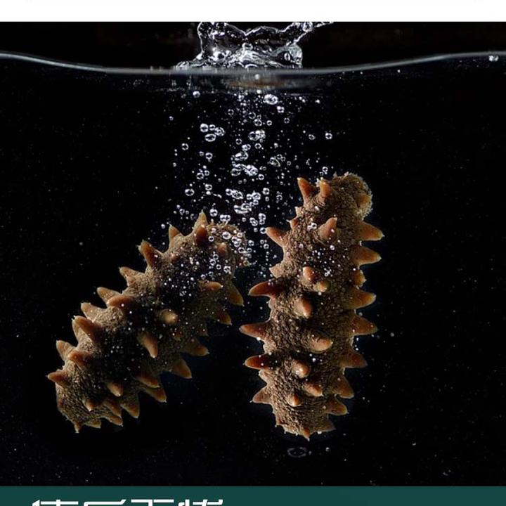 大头特惠 大连辽刺参即食海参无添加海参 开袋即食