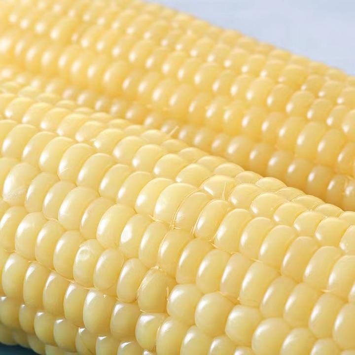 【整箱7.5-8斤】东北白糯玉米真空锁鲜软糯香甜12根一整箱280-380g