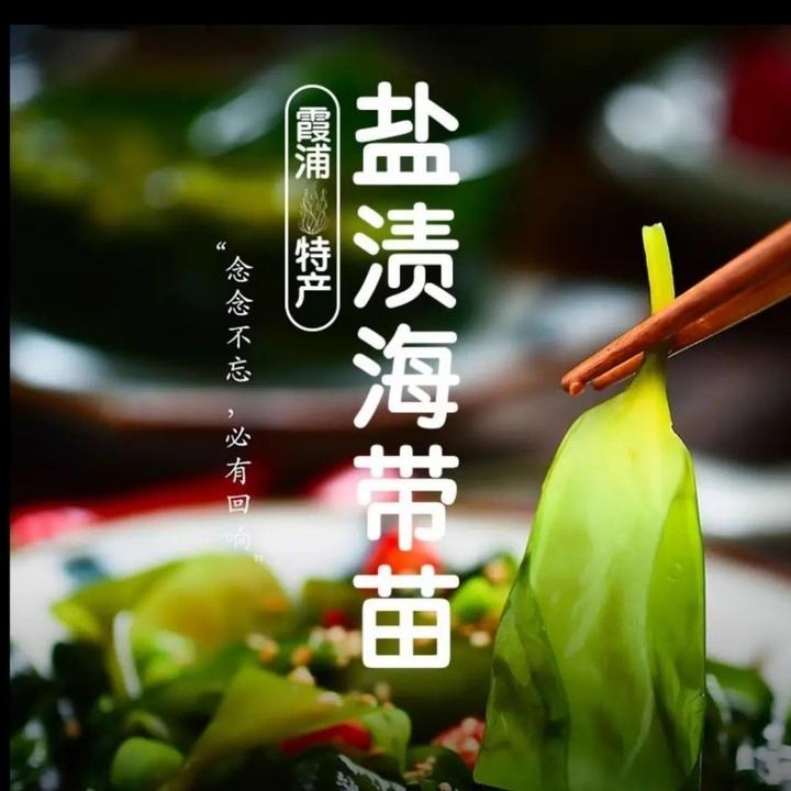 【鲜嫩爽口】正宗霞浦海带苗同款嫩滑芽火锅伴侣在家复刻海底捞凉拌