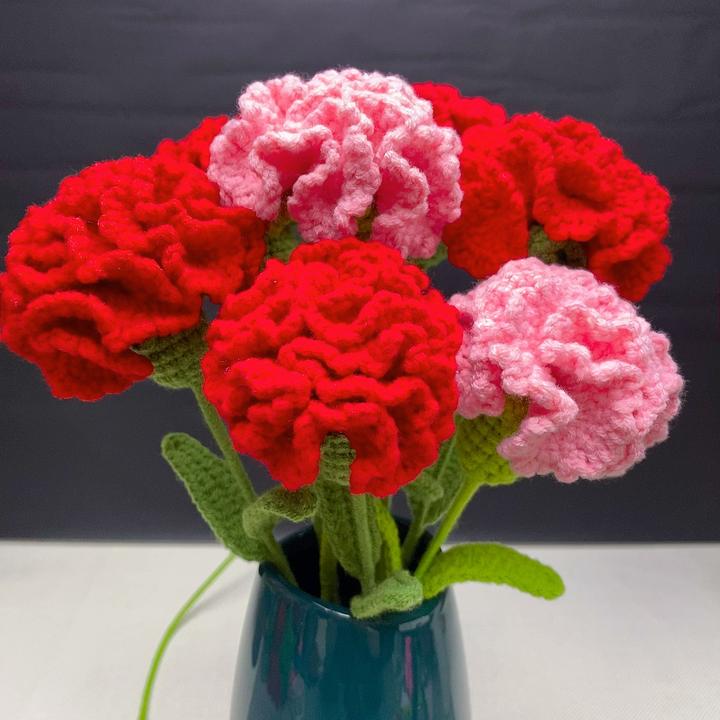 【新手入门款】康乃馨一体简易版钩织diy材料包，送视频教程