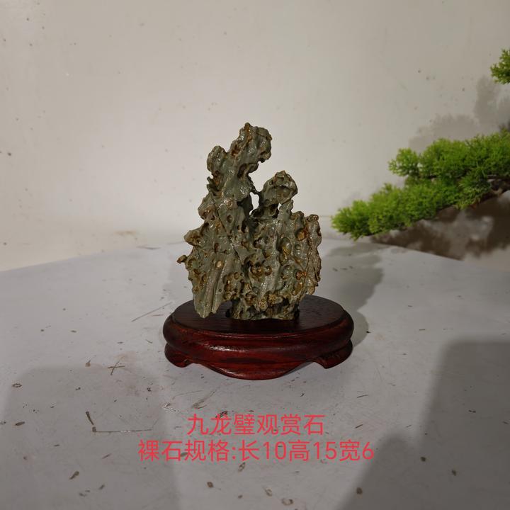 九龙璧景观石，奇石观赏石摆件，规格见图