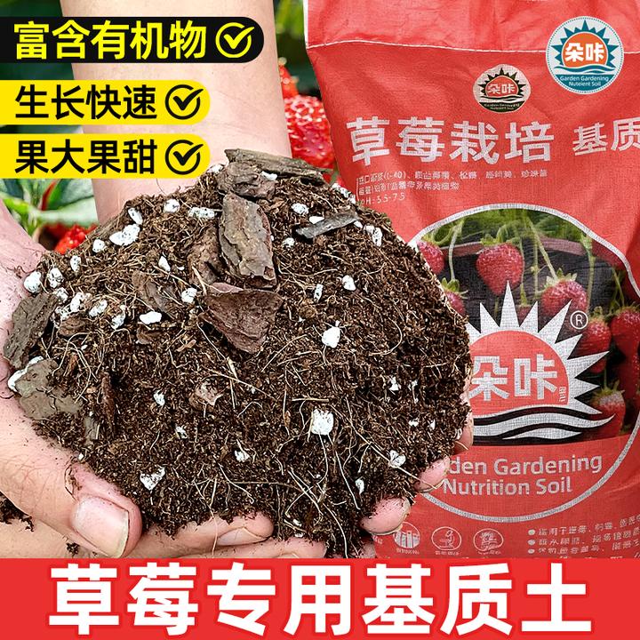 【基地专供】 草莓专用土有机营养土阳台盆栽土壤疏松透气轻质泥炭