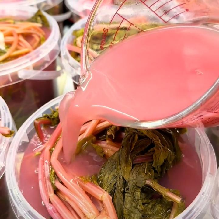 陕西安康萝卜缨包菜盖菜野油菜浆水酸菜安康风味安康酸菜