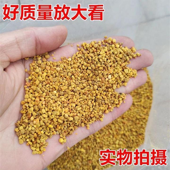 【店铺热销】蜜蜂饲料蜂花粉中蜂专用天然颗粒油菜花粉喂蜜蜂花粉