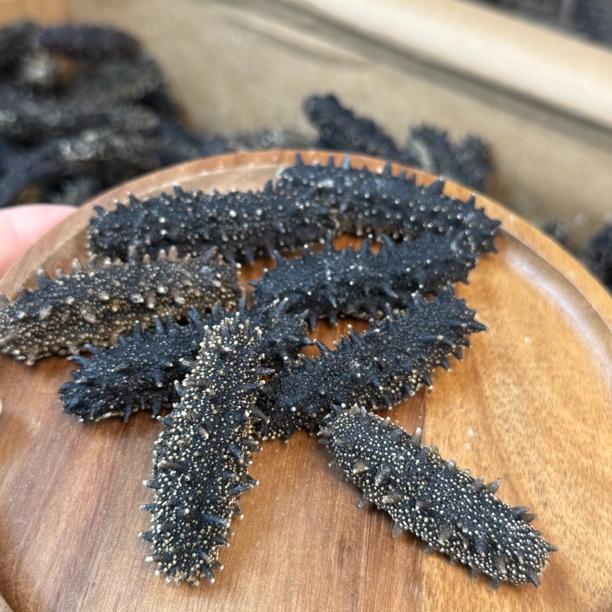 国标大连淡干辽刺参 爆刺