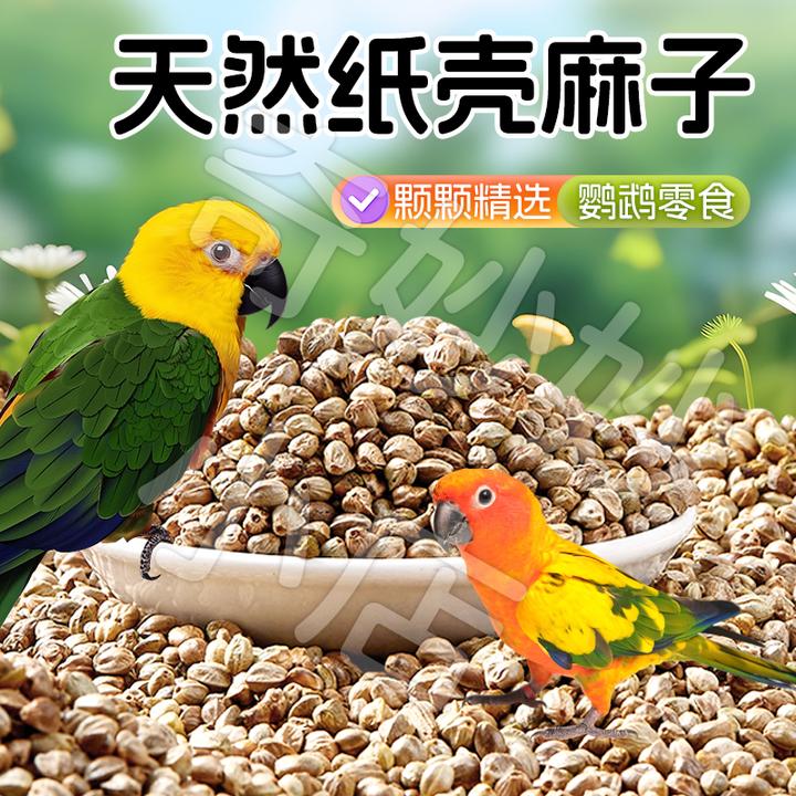 【宠大条】新火麻仁鹦鹉鸟粮纸壳火麻子鸟类粮饲料奖励零食鸟食