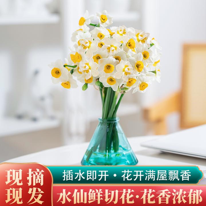 漳州水仙鲜切花开满屋香泡水就开花单瓣复瓣品种办公室内桌面鲜花