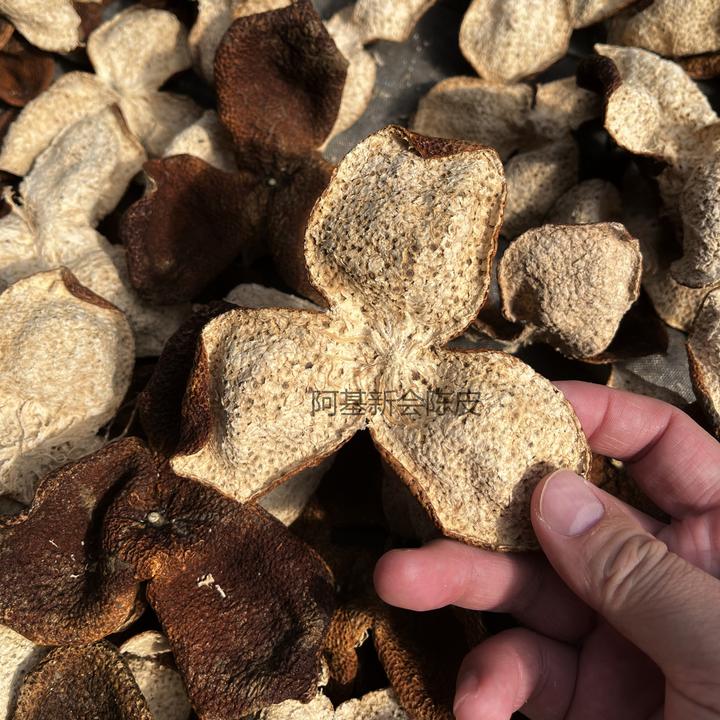 2023年西甲冬后皮圈枝老树 新会西甲陈皮