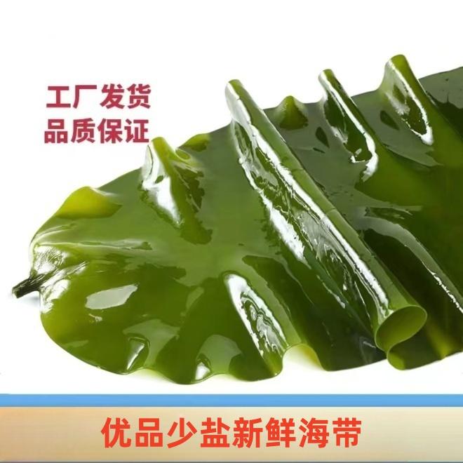 【紫荷依然专属】大连高品质少盐新鲜嫩鲜海带5斤/箱（含箱5斤）