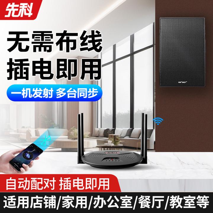 SAST/先科室内壁挂无线音箱D3商场店铺广播K歌重低音庭院吸顶音响