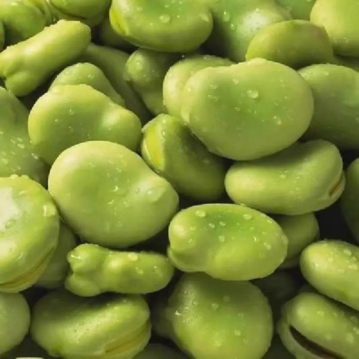 绿宝蚕豆种子秋冬绿宝七星特大高产蚕豆种子罗汉豆种籽早熟耐寒