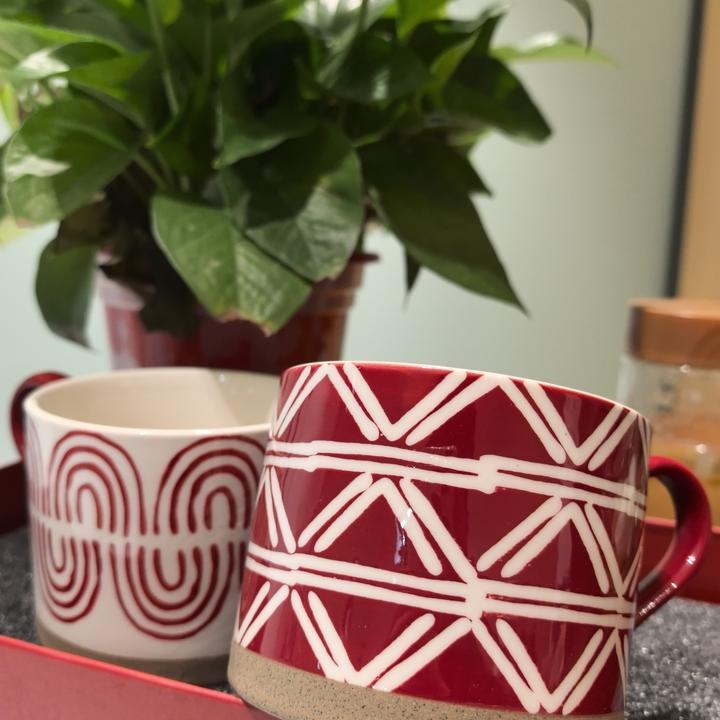 马克杯（波点+叶脉）情侣精致创意套装复古风（450ml）