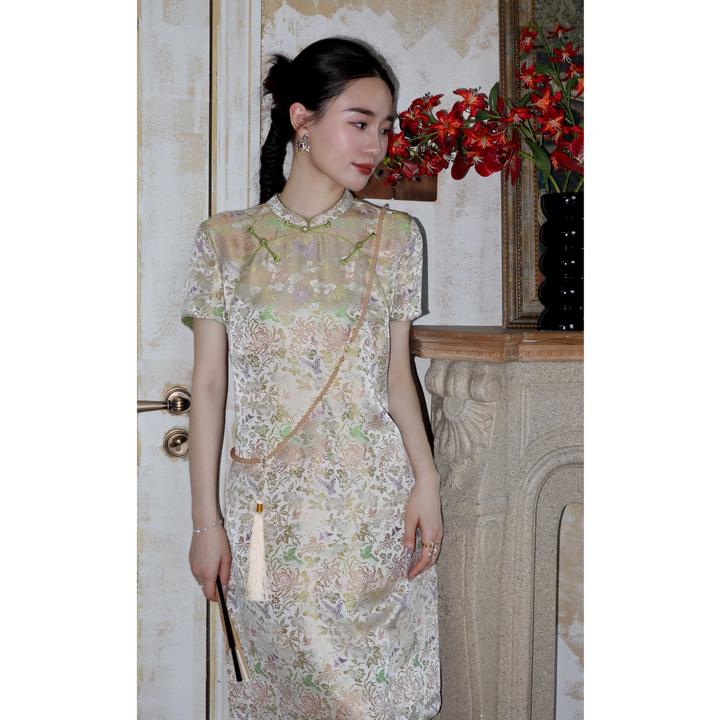 HELA AOMI“流光溢彩宋锦”桑蚕丝收腰气质盘扣连衣裙CY5BC20541