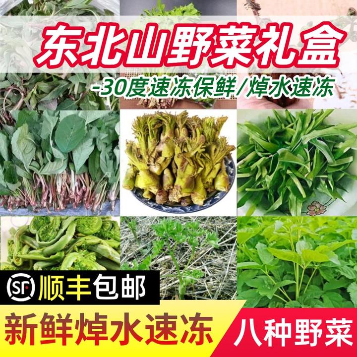 东北特产山野菜礼盒新鲜速冻冷冻刺嫩芽真空包装蘸酱顺丰包邮