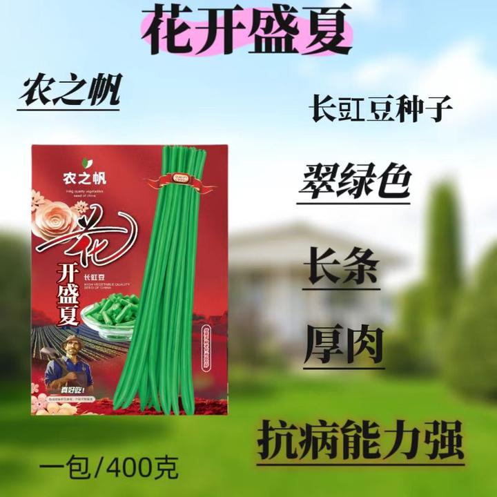 花开盛夏，长豆角种子，翠绿色，耐高温，长条厚肉，抗病能力强