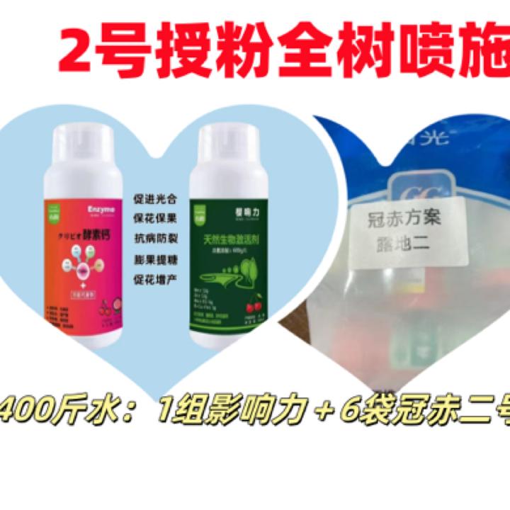 一遍二遍三遍通用400斤水兑1组影响力+6袋冠赤2号全树喷提高坐果